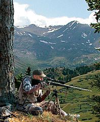 click for enlarge 432 X 525 58.1 Kb picture