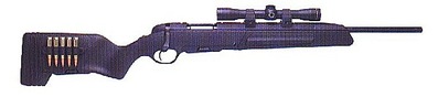 click for enlarge 600 X 133  17,9 Kb picture