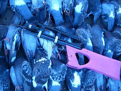 click for enlarge 1024 X 768 151.3 Kb picture