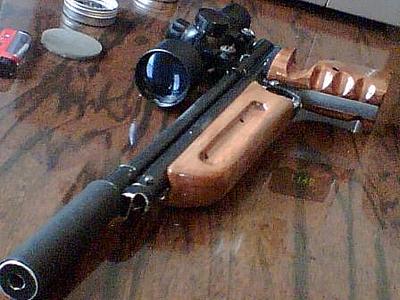 click for enlarge 448 X 336  27.2 Kb picture