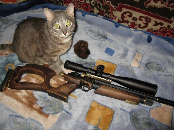 600 x 450