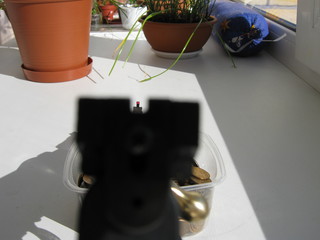 click for enlarge 1920 X 1440 339,7 Kb picture