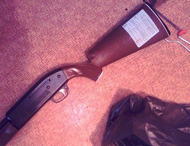 click for enlarge 616 X 473 59,3 Kb picture