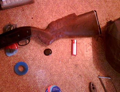 click for enlarge 551 X 420 44,2 Kb picture