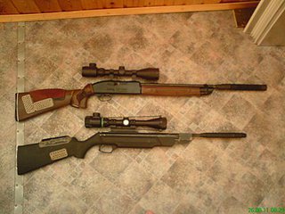 click for enlarge 448 X 336  31,6 Kb picture