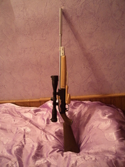 click for enlarge 1920 X 2560 332,2 Kb picture