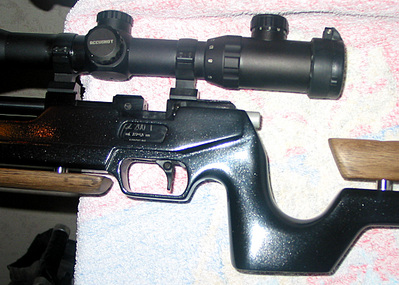 click for enlarge 1063 X 760 309.9 Kb picture