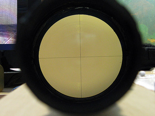 click for enlarge 1024 X 768 263,4 Kb picture
