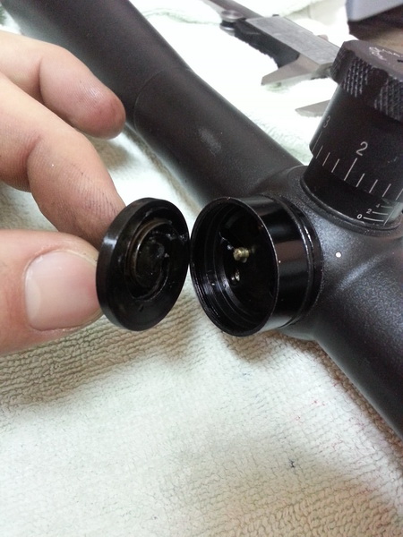 450 x 600