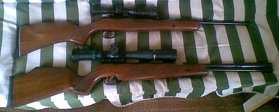 click for enlarge 1579 X 635 138,7 Kb picture