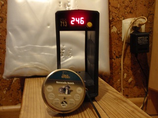 click for enlarge 1024 X 768 222,2 Kb picture