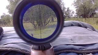 click for enlarge 1920 X 1080 299.5 Kb picture