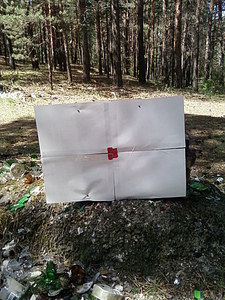 click for enlarge 768 X 1024 245,7 Kb picture