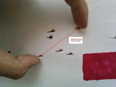 click for enlarge 1000 X 750 139,0 Kb picture