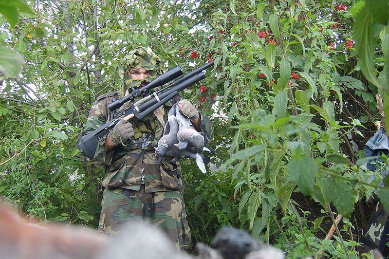 click for enlarge 1024 X 682 247,9 Kb picture