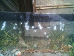 240 x 180