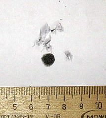 click for enlarge 314 X 351 36,4 Kb picture