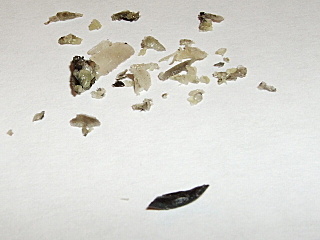 click for enlarge 640 X 480 112,5 Kb picture