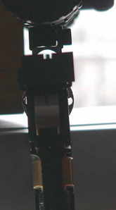 click for enlarge 318 X 575  17.3 Kb picture