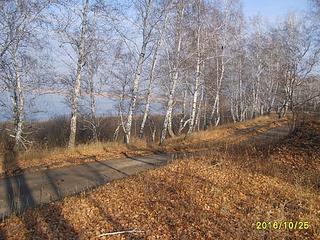click for enlarge 1024 X 768 230,9 Kb picture