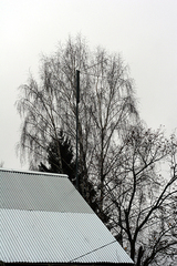 click for enlarge 600 X 900 544,2 Kb picture