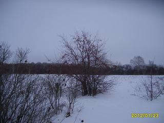 click for enlarge 1024 X 768 149,9 Kb picture