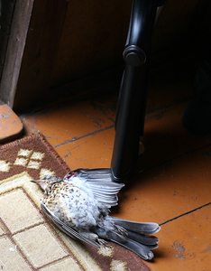 click for enlarge 781 X 1000 530.0 Kb picture