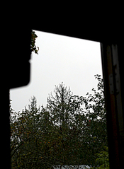 click for enlarge 1920 X 2624 341.0 Kb picture