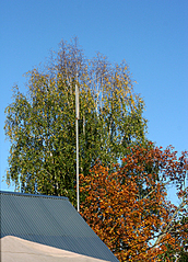 click for enlarge 431 X 600 325.7 Kb picture