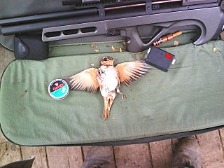 click for enlarge 640 X 480 44,5 Kb picture