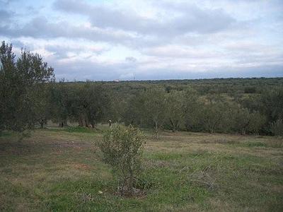 click for enlarge 640 X 480 40,8 Kb picture