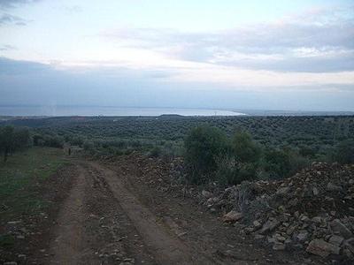 click for enlarge 640 X 480 33,4 Kb picture