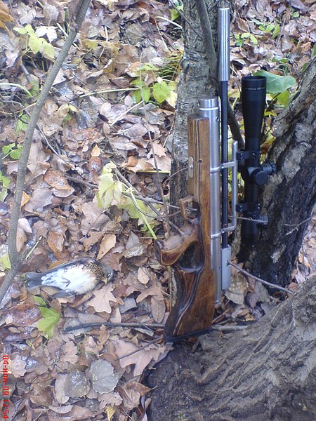 click for enlarge 1224 X 1632 474,8 Kb picture