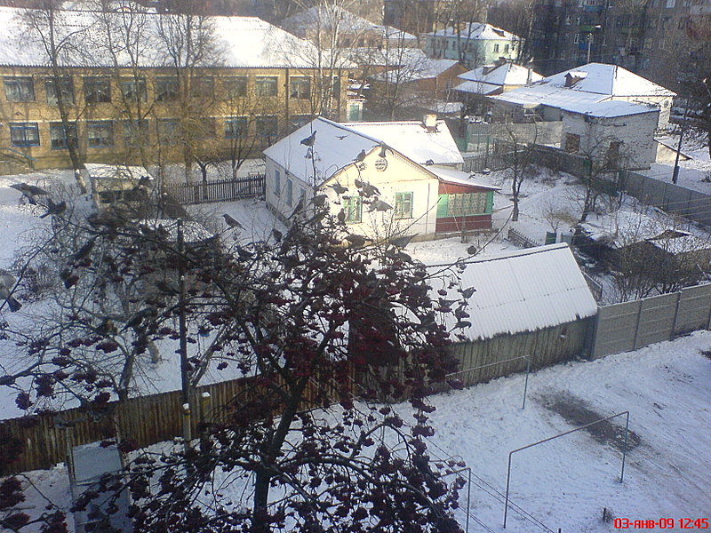 click for enlarge 1632 X 1224 543,1 Kb picture