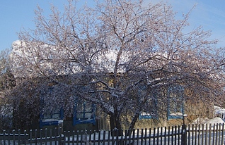 click for enlarge 957 X 619 449,1 Kb picture