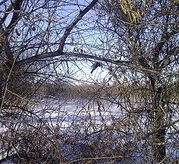 click for enlarge 1405 X 1286 952,2 Kb picture