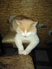 click for enlarge 960 X 1280 144.6 Kb