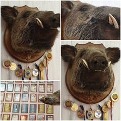 click for enlarge 1280 X 1280 234.8 Kb