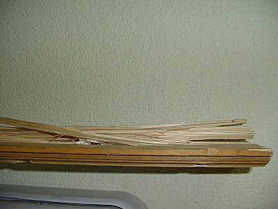 click for enlarge 1600 X 1200 812,9 Kb picture