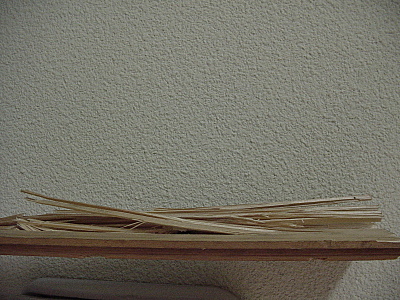 click for enlarge 1600 X 1200 858,6 Kb picture