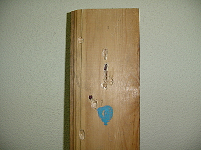 click for enlarge 1600 X 1200 780,7 Kb picture