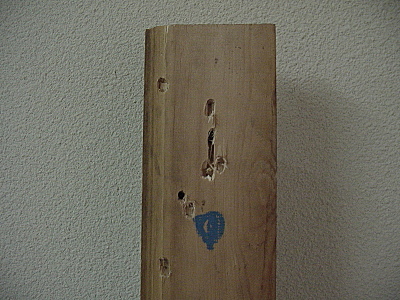 click for enlarge 1600 X 1200 893,4 Kb picture
