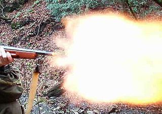 click for enlarge 441 X 313  30,5 Kb picture