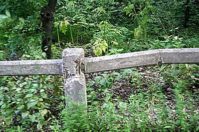 click for enlarge 800 X 533 125,5 Kb picture