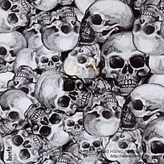 click for enlarge 500 X 500  55,8 Kb picture