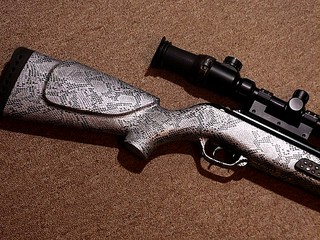 click for enlarge 640 X 480 135,6 Kb picture