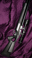 click for enlarge 437 X 800 138,9 Kb picture