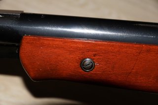 click for enlarge 1152 X 768 89.6 Kb