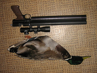 click for enlarge 1024 X 768 360,0 Kb picture