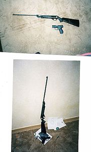 click for enlarge 472 X 782  66,1 Kb picture